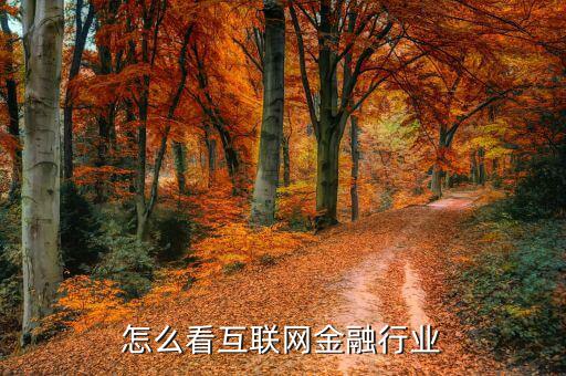 互聯(lián)網金融社區(qū)怎么樣,怎么看互聯(lián)網金融行業(yè)