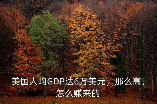 美國(guó)人均GDP達(dá)6萬(wàn)美元，那么高，怎么賺來(lái)的