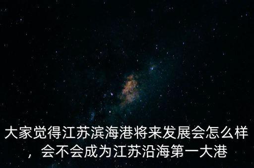 大家覺(jué)得江蘇濱海港將來(lái)發(fā)展會(huì)怎么樣，會(huì)不會(huì)成為江蘇沿海第一大港