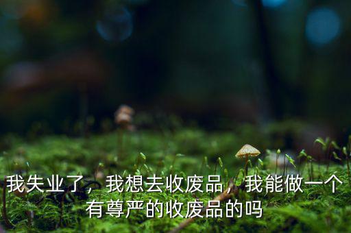 我失業(yè)了，我想去收廢品，我能做一個有尊嚴的收廢品的嗎