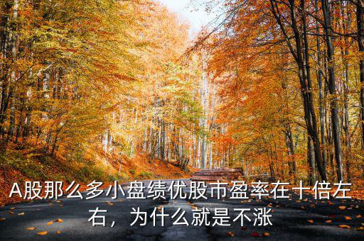 A股那么多小盤績優(yōu)股市盈率在十倍左右，為什么就是不漲