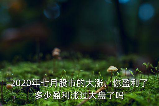 2020年七月股市的大漲，你盈利了多少盈利漲過大盤了嗎
