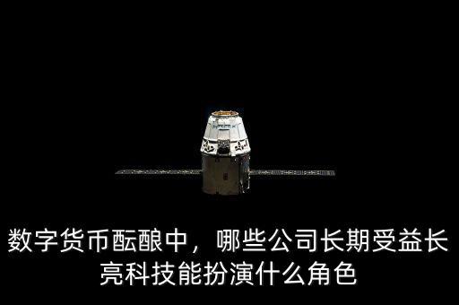 數(shù)字貨幣醞釀中，哪些公司長(zhǎng)期受益長(zhǎng)亮科技能扮演什么角色