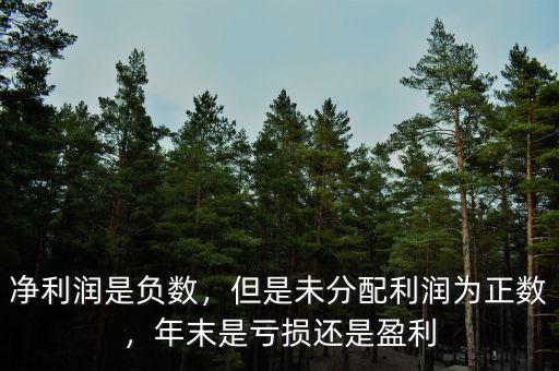凈利潤是負數(shù)，但是未分配利潤為正數(shù)，年末是虧損還是盈利