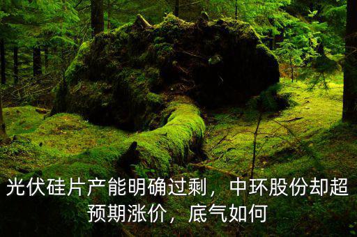 光伏硅片產(chǎn)能明確過剩，中環(huán)股份卻超預(yù)期漲價(jià)，底氣如何