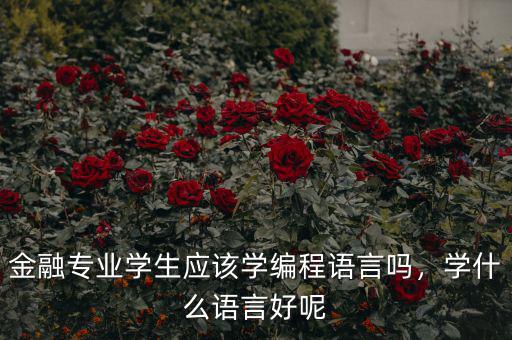 金融專業(yè)學(xué)生應(yīng)該學(xué)編程語言嗎，學(xué)什么語言好呢
