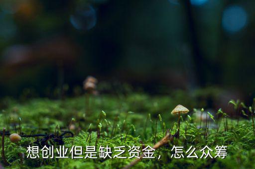 想創(chuàng)業(yè)但是缺乏資金，怎么眾籌