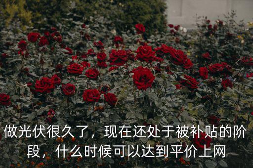做光伏很久了，現(xiàn)在還處于被補貼的階段，什么時候可以達到平價上網(wǎng)