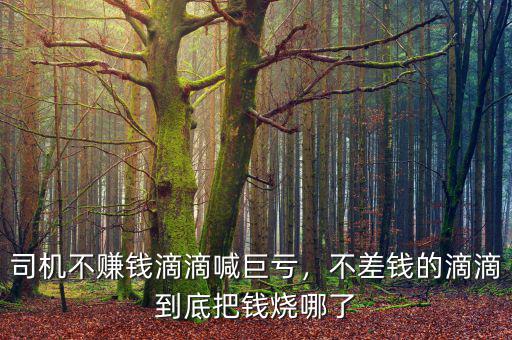 司機(jī)不賺錢滴滴喊巨虧，不差錢的滴滴到底把錢燒哪了