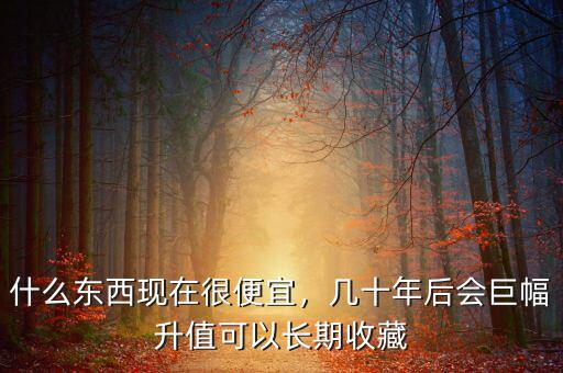 什么東西現(xiàn)在很便宜，幾十年后會(huì)巨幅升值可以長(zhǎng)期收藏