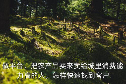 做平臺，把農(nóng)產(chǎn)品買來賣給城里消費能力高的人，怎樣快速找到客戶