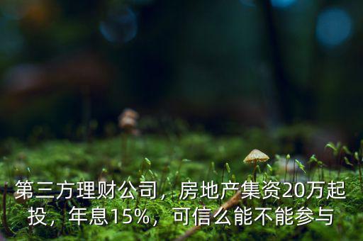 第三方理財公司，房地產集資20萬起投，年息15%，可信么能不能參與