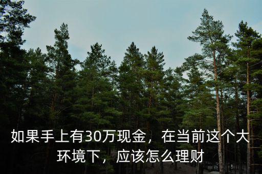 如果手上有30萬現(xiàn)金，在當(dāng)前這個(gè)大環(huán)境下，應(yīng)該怎么理財(cái)