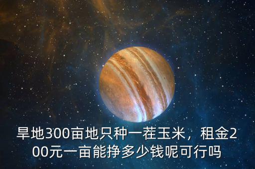 旱地300畝地只種一茬玉米，租金200元一畝能掙多少錢呢可行嗎
