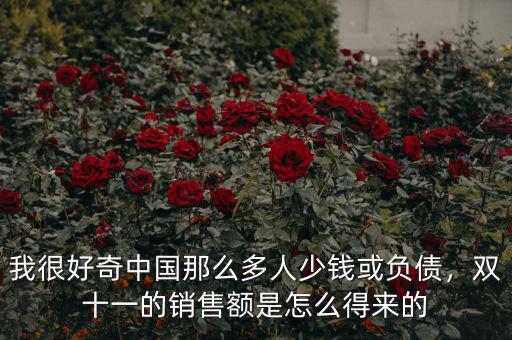 我很好奇中國(guó)那么多人少錢或負(fù)債，雙十一的銷售額是怎么得來(lái)的