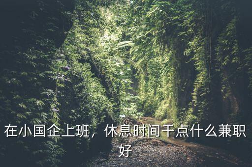 在小國企上班，休息時間干點(diǎn)什么兼職好