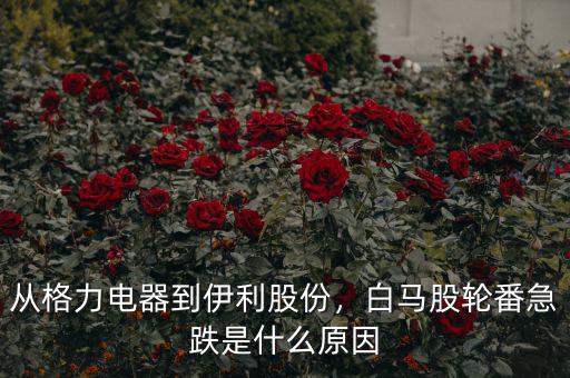 從格力電器到伊利股份，白馬股輪番急跌是什么原因