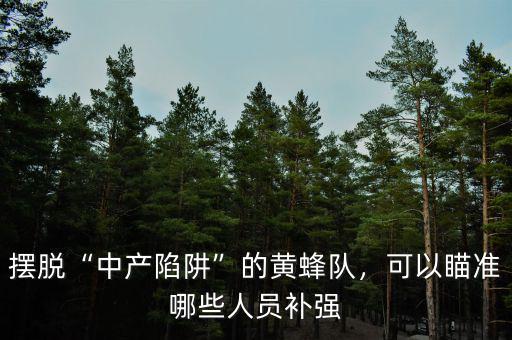 擺脫“中產(chǎn)陷阱”的黃蜂隊(duì)，可以瞄準(zhǔn)哪些人員補(bǔ)強(qiáng)