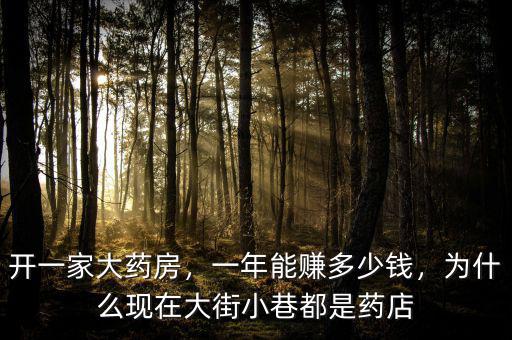 開(kāi)一家大藥房，一年能賺多少錢(qián)，為什么現(xiàn)在大街小巷都是藥店