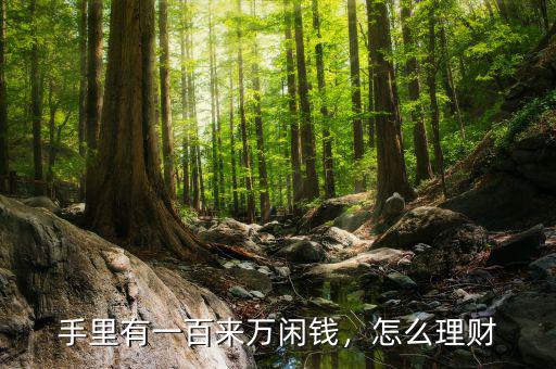 手里有一百來(lái)萬(wàn)閑錢，怎么理財(cái)