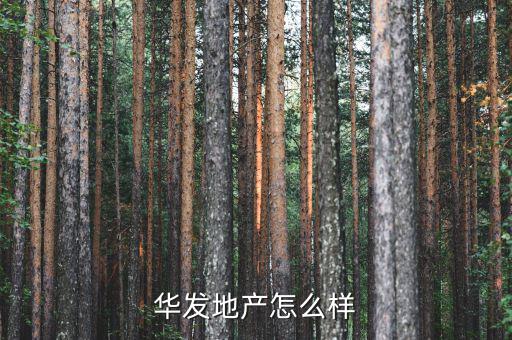 華發(fā)地產怎么樣