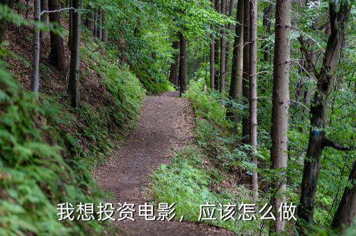 我想投資電影，應(yīng)該怎么做
