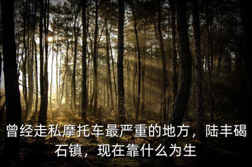 曾經(jīng)走私摩托車最嚴重的地方，陸豐碣石鎮(zhèn)，現(xiàn)在靠什么為生