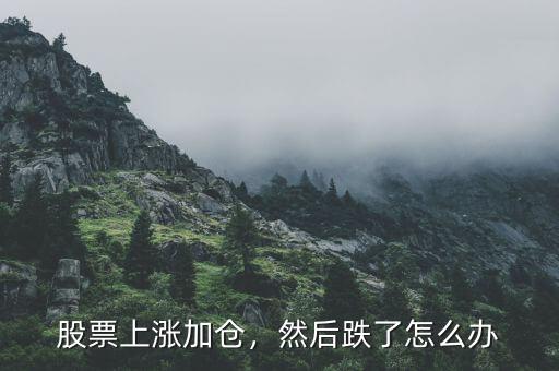 股票上漲加倉(cāng)，然后跌了怎么辦