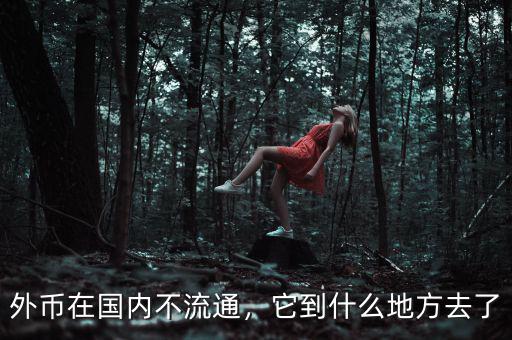 外幣在國(guó)內(nèi)不流通，它到什么地方去了