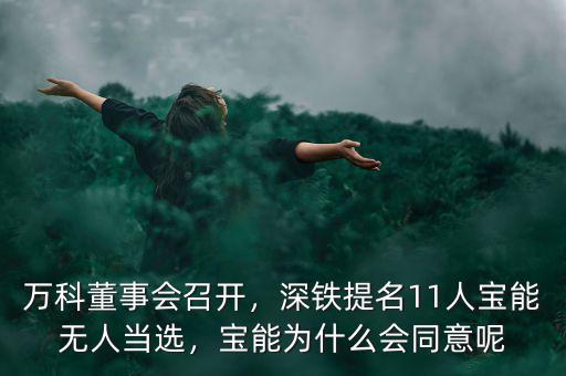 萬科董事會(huì)召開，深鐵提名11人寶能無人當(dāng)選，寶能為什么會(huì)同意呢