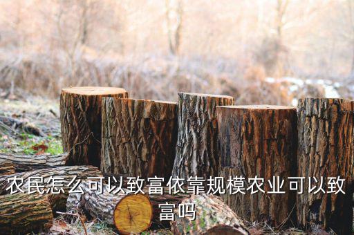 農民怎么才能要富,農民怎么可以致富