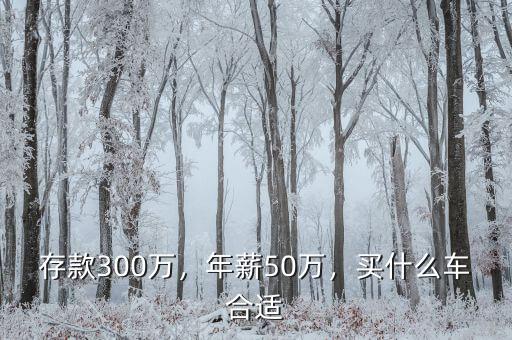 存款300萬(wàn)，年薪50萬(wàn)，買(mǎi)什么車合適