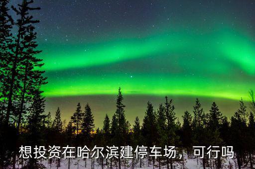 想投資在哈爾濱建停車場，可行嗎