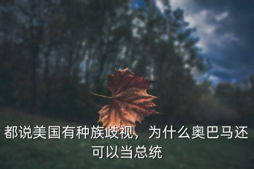 都說美國有種族歧視，為什么奧巴馬還可以當總統(tǒng)