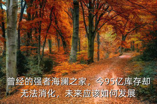 曾經(jīng)的強(qiáng)者海瀾之家，今95億庫(kù)存卻無(wú)法消化，未來(lái)應(yīng)該如何發(fā)展