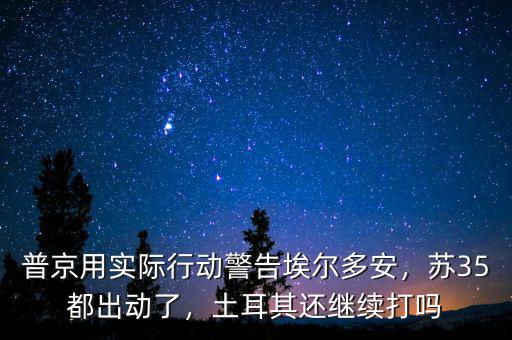 普京用實(shí)際行動警告埃爾多安，蘇35都出動了，土耳其還繼續(xù)打嗎