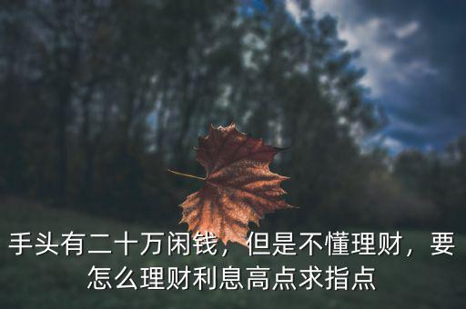 手頭有二十萬閑錢，但是不懂理財(cái)，要怎么理財(cái)利息高點(diǎn)求指點(diǎn)