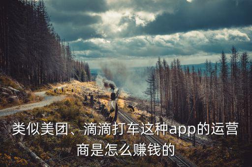 類似美團(tuán)、滴滴打車(chē)這種app的運(yùn)營(yíng)商是怎么賺錢(qián)的