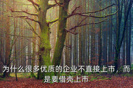 為什么很多優(yōu)質(zhì)的企業(yè)不直接上市，而是要借殼上市