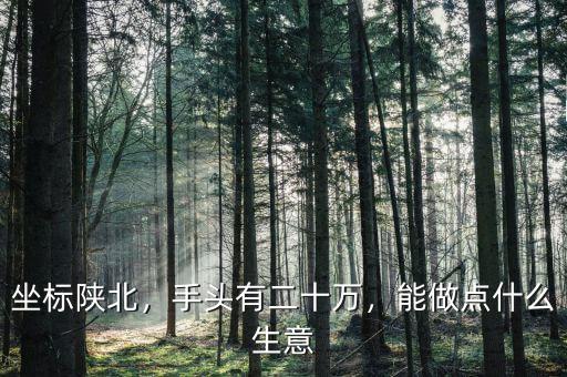 坐標陜北，手頭有二十萬，能做點什么生意