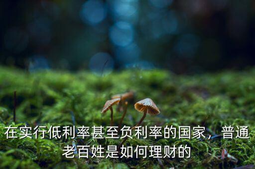 在實行低利率甚至負利率的國家，普通老百姓是如何理財?shù)? class=