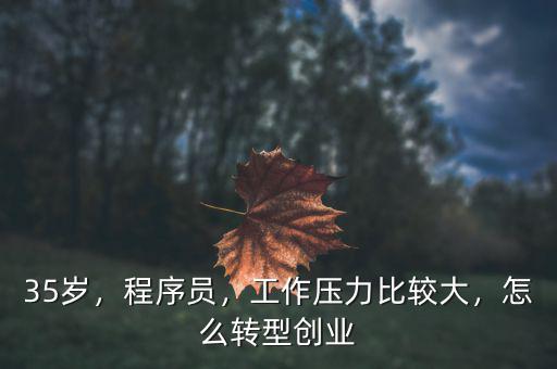 35歲，程序員，工作壓力比較大，怎么轉(zhuǎn)型創(chuàng)業(yè)