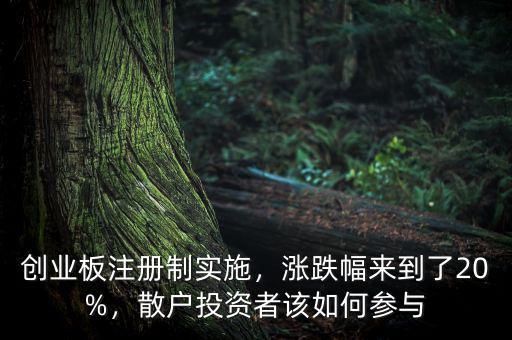 創(chuàng)業(yè)板注冊制實施，漲跌幅來到了20%，散戶投資者該如何參與