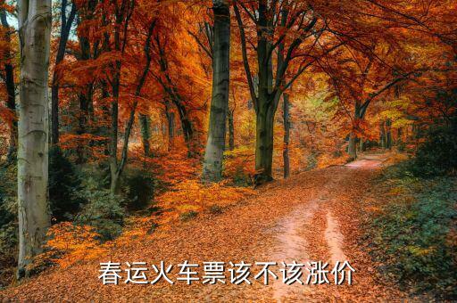 春運(yùn)火車(chē)票該不該漲價(jià)