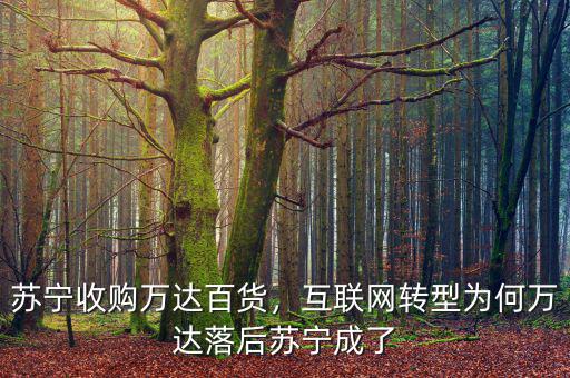 蘇寧收購萬達(dá)百貨，互聯(lián)網(wǎng)轉(zhuǎn)型為何萬達(dá)落后蘇寧成了