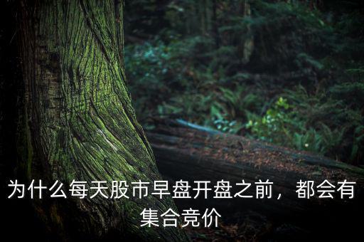 為什么每天股市早盤開盤之前，都會有集合競價