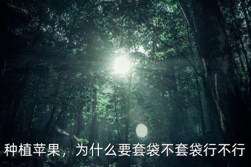 種植蘋果，為什么要套袋不套袋行不行