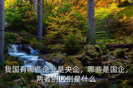 我國(guó)有哪些企業(yè)是央企，哪些是國(guó)企，兩者的區(qū)別是什么