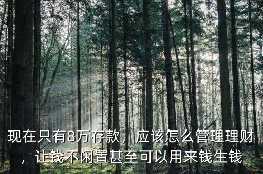 現(xiàn)在只有8萬存款，應(yīng)該怎么管理理財，讓錢不閑置甚至可以用來錢生錢