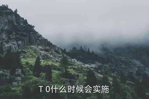 股市t十0什么時候?qū)嵭?T 0什么時候會實(shí)施